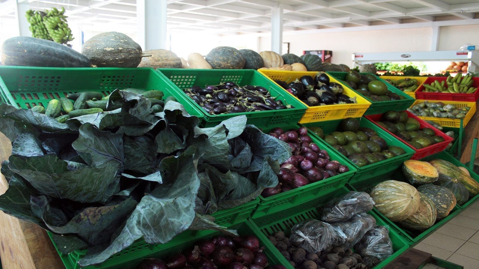 CGA discloses consumer perspective on food safety in Kenya