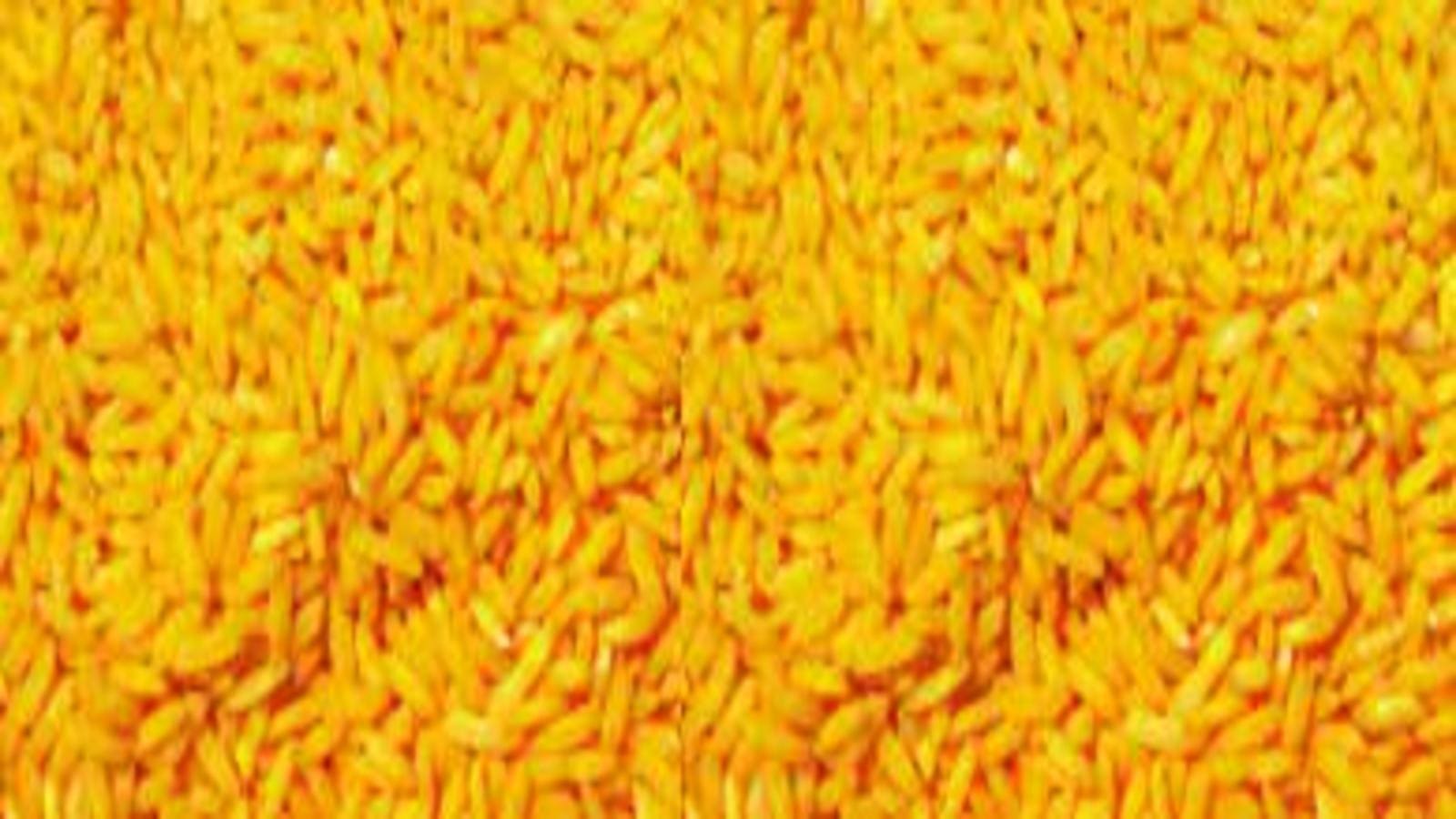Philippines nods commercial cultivation of GE Golden Rice to curb nutrient deficiency