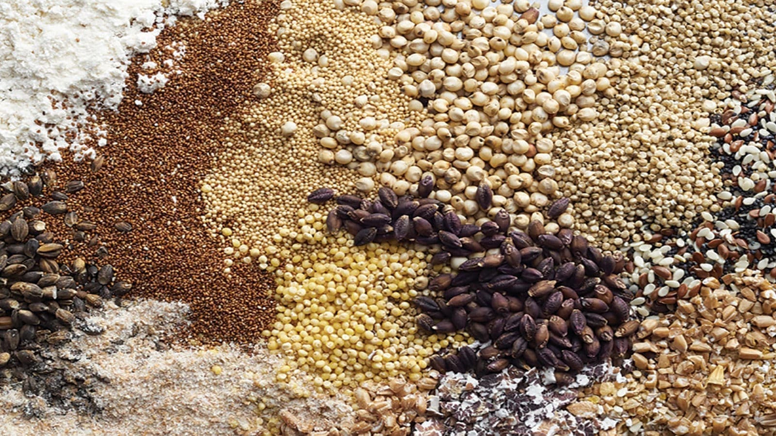 Food Corporation of India backs startups to develop grain-testing equipment