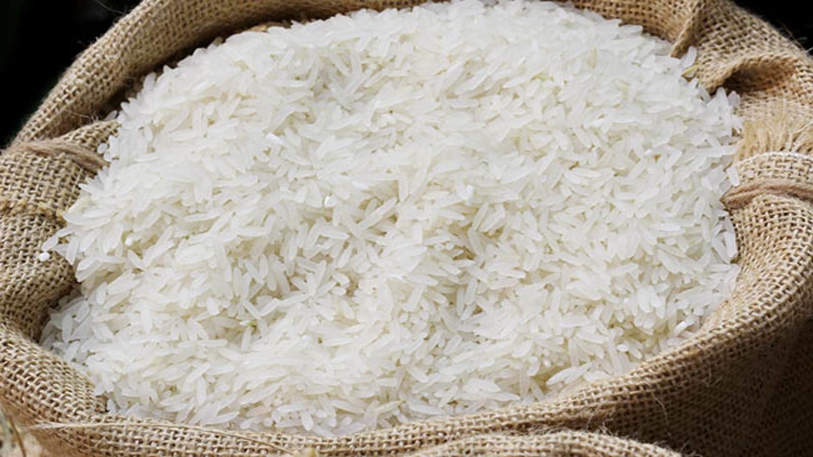 Research institutions in Nigeria develop GE rice to bolster yields