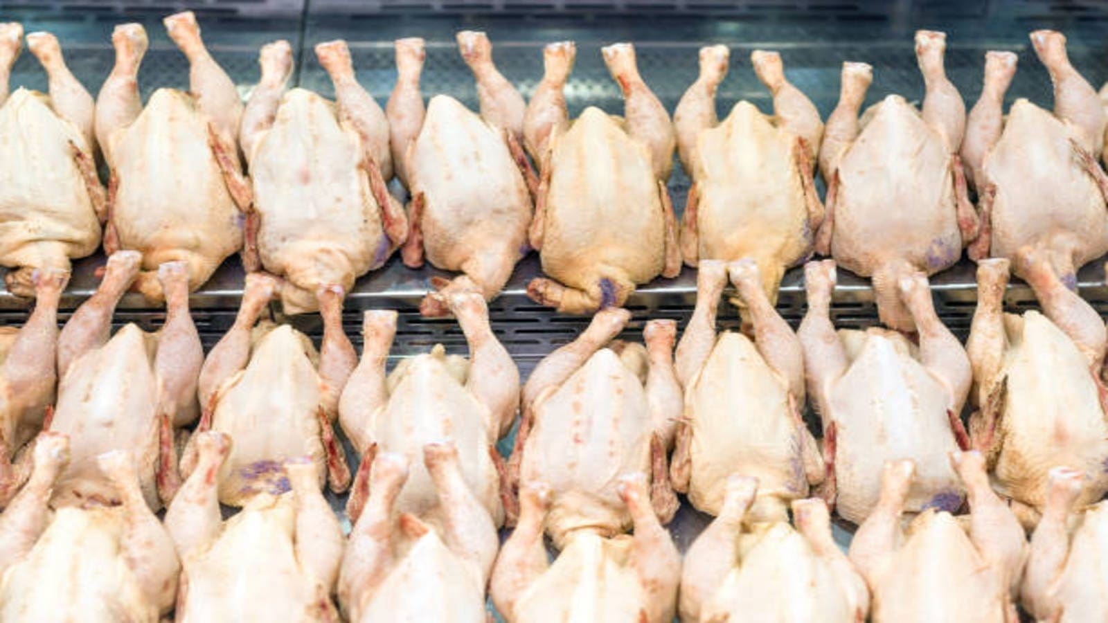 FSIS revises raw poultry guidelines to curb pathogens