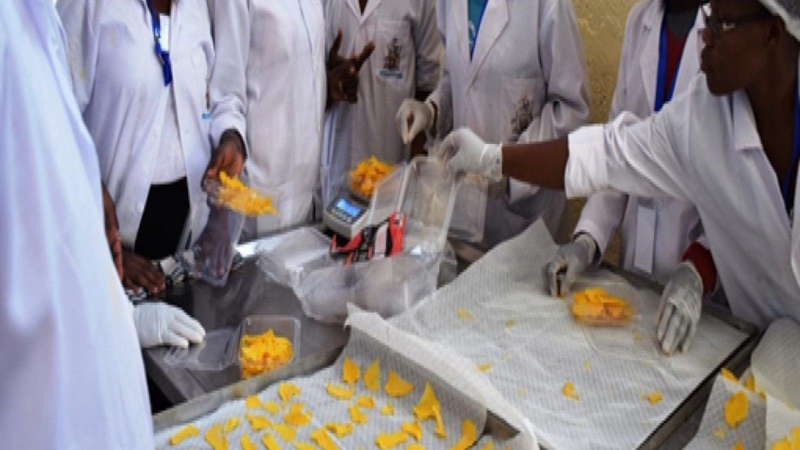 World Food Programme funds food safety mini-laboratories construction in Kenya’s Marsabit county