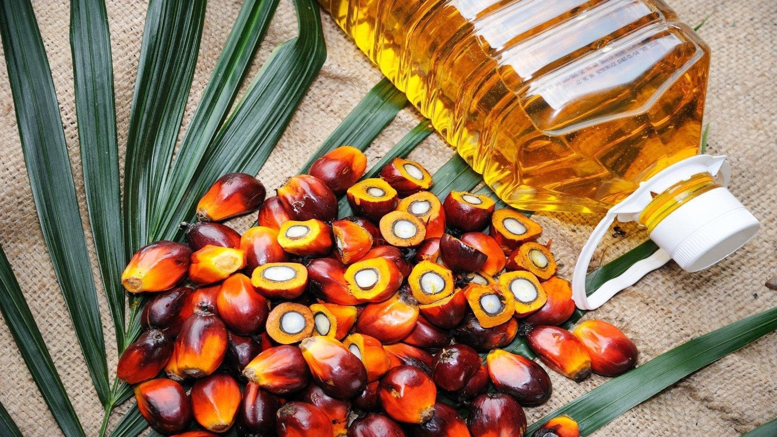 FDA raises alarm over Palm Oil adulteration as it launches anti-fraud app
