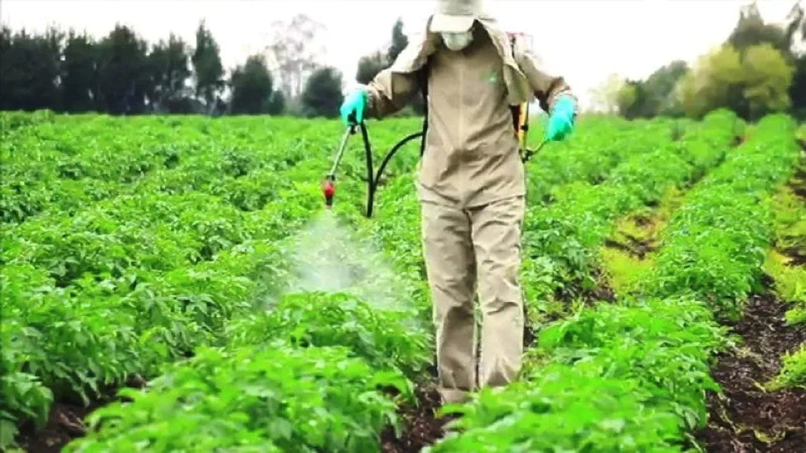 PCPB set to kick off risk analysis of pesticides sold in Kenya
