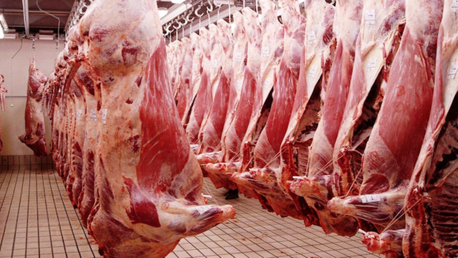 Tanzania meat processing centers assessed prior to exporting meat to Saudi Arabia