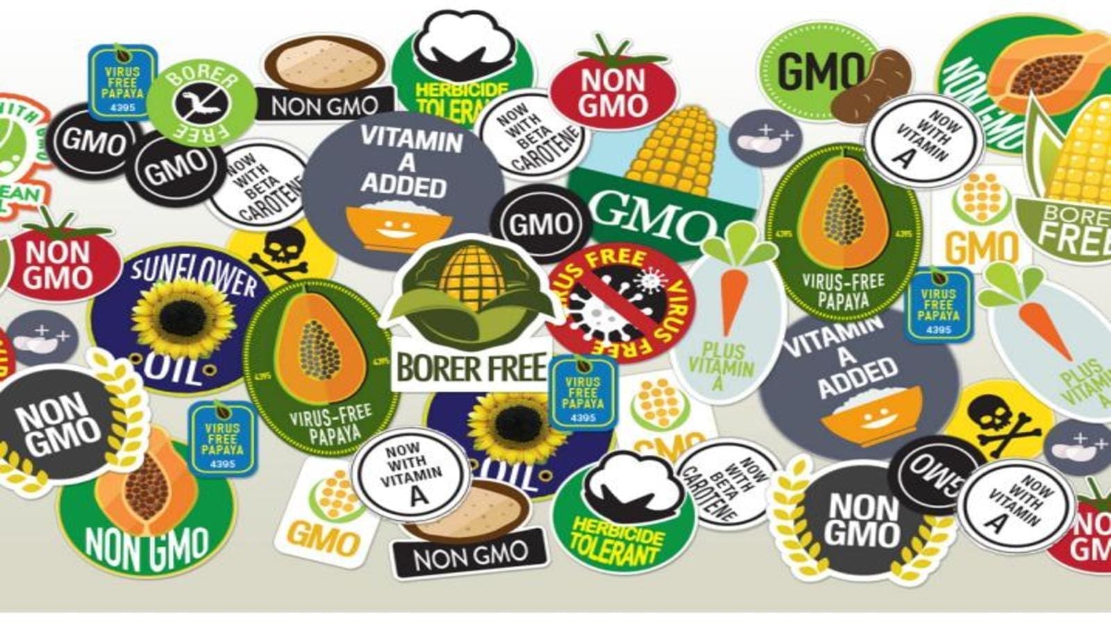 AU on its way to establishing guidelines on GMO use