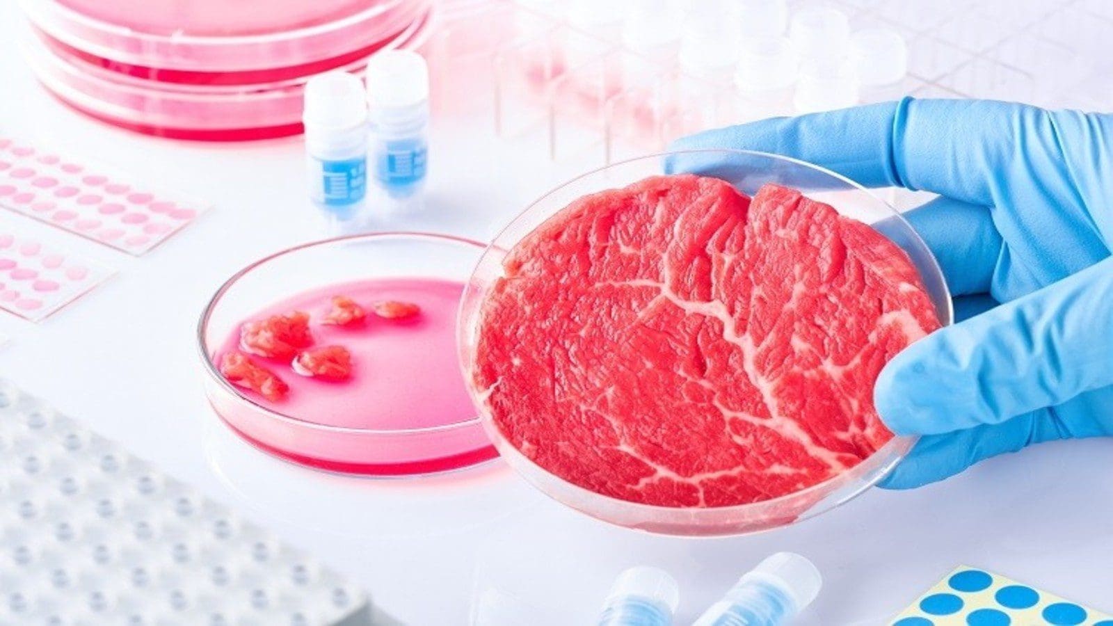 FSIS seeks public opinion on labeling of cell cultured meat, poultry