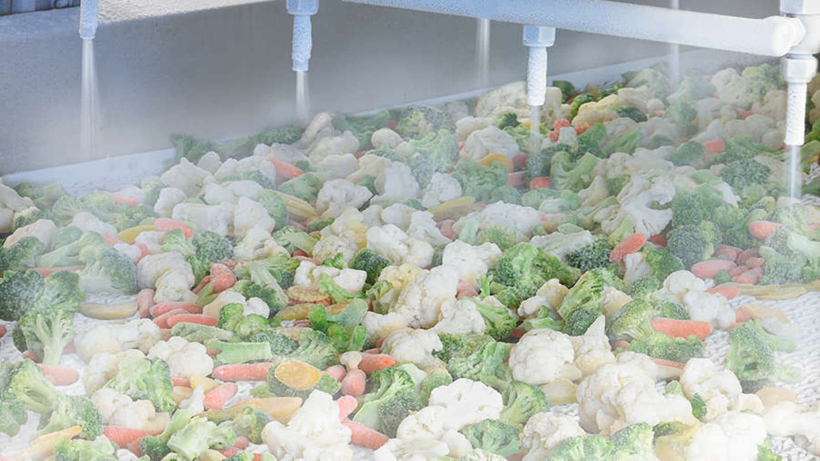 Milestone in frozen food industry as researchers develop new freezing method