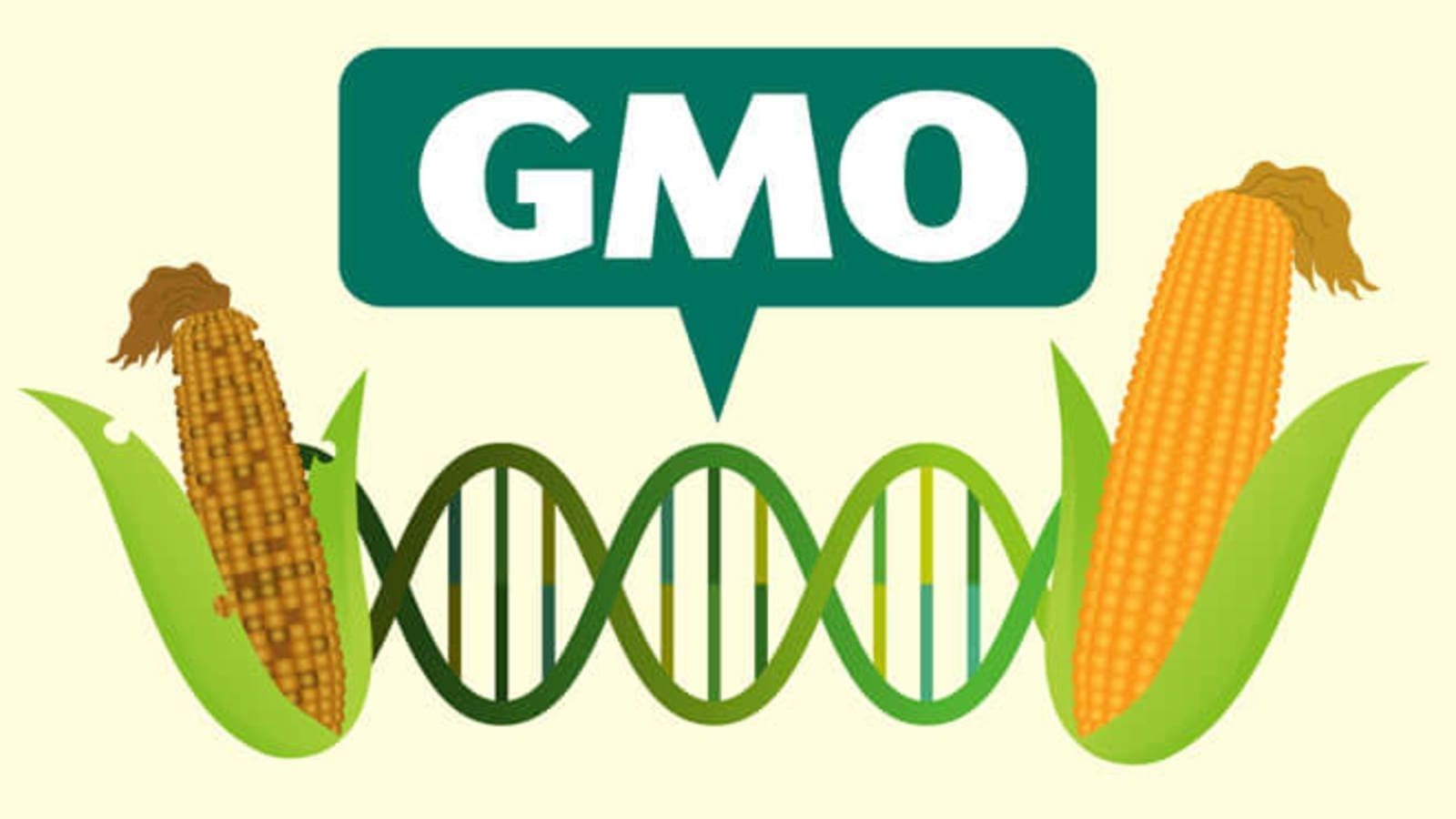 South African scientists call for increased GMO adoption in continent