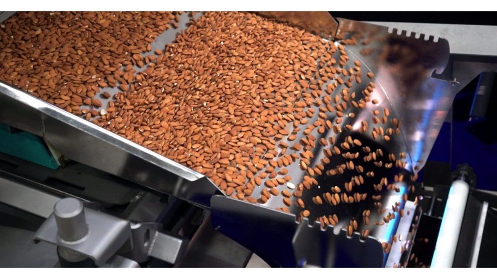 Gursoy leverages TOMRA’s latest sorting machine to increase hazelnut quality