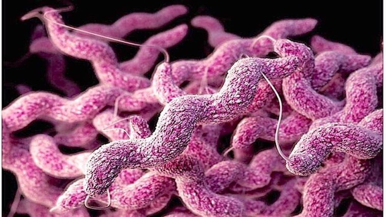 Foodborne illness outbreak data identifies 4183 outbreaks