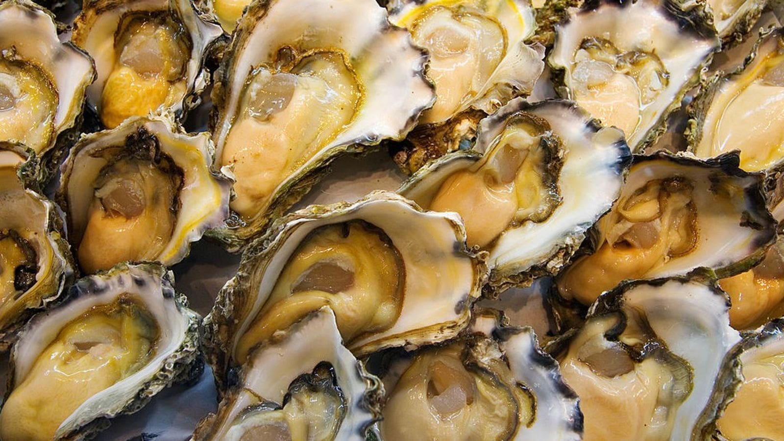 Scotland researchers receive over US$ 200,000 to device oyster diseases detection tests