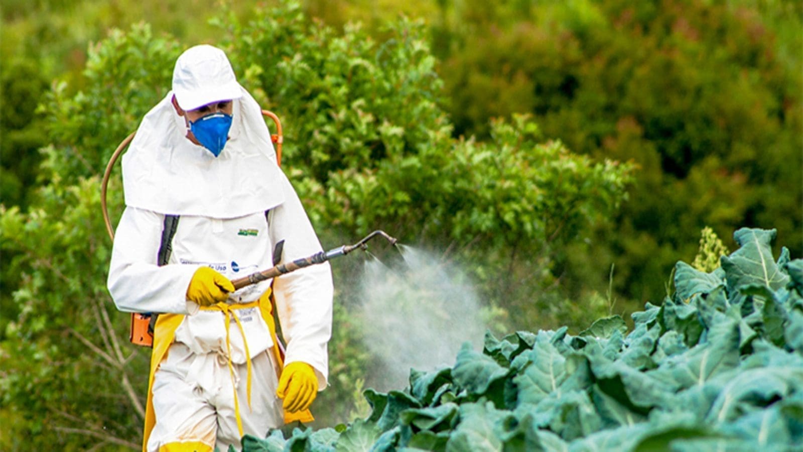 FDA pesticide report reveals low levels of pesticide residue in food, feed