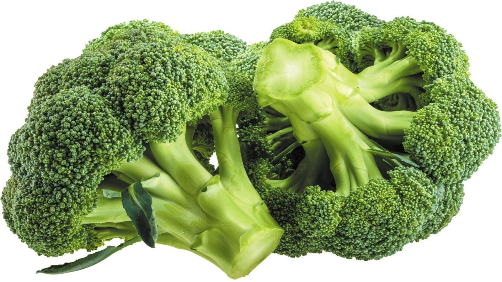 Scientists identify genes to prolong broccoli shelf life