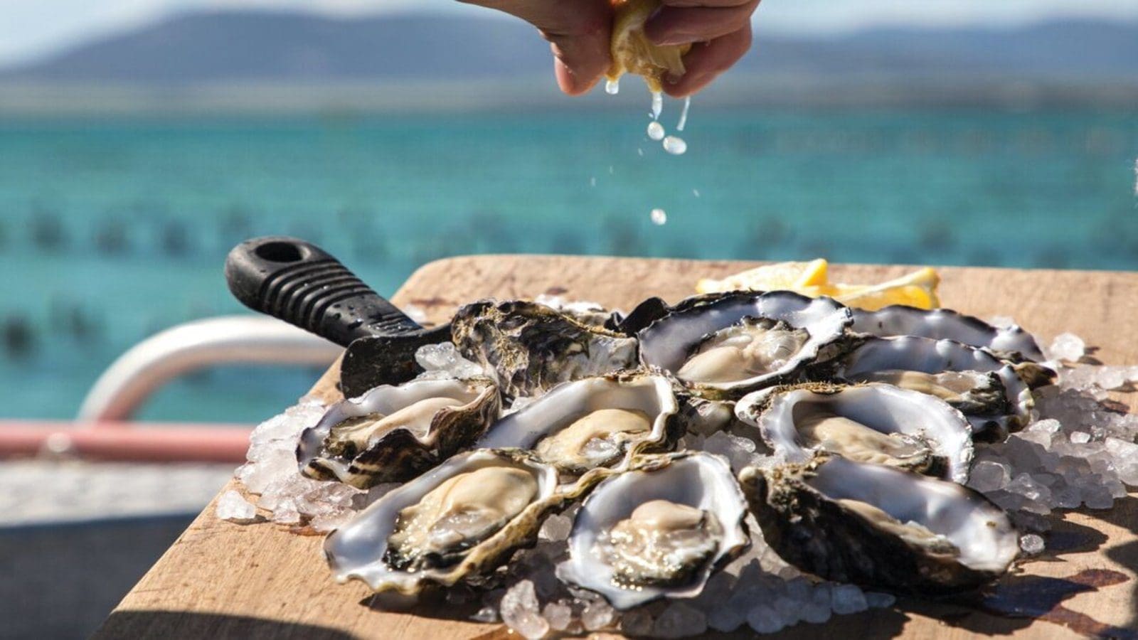 Food Standard Australia, New Zealand recalls Coffin Bay Oysters