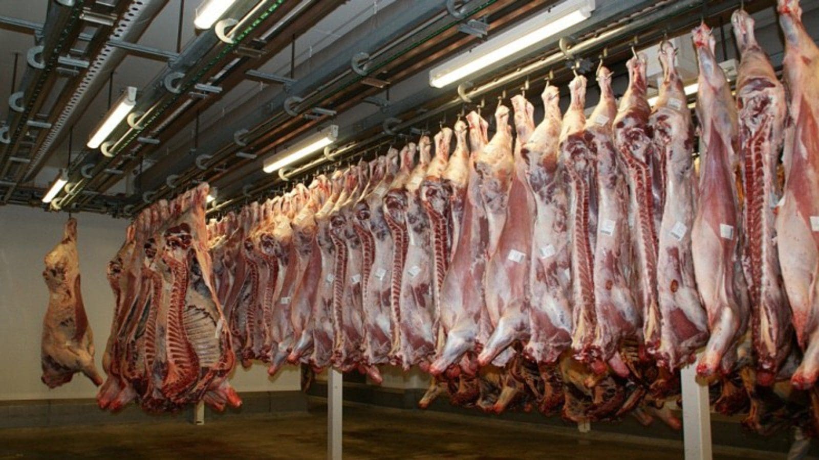 Ministry of Agriculture vows to boost meat supply in Kenya