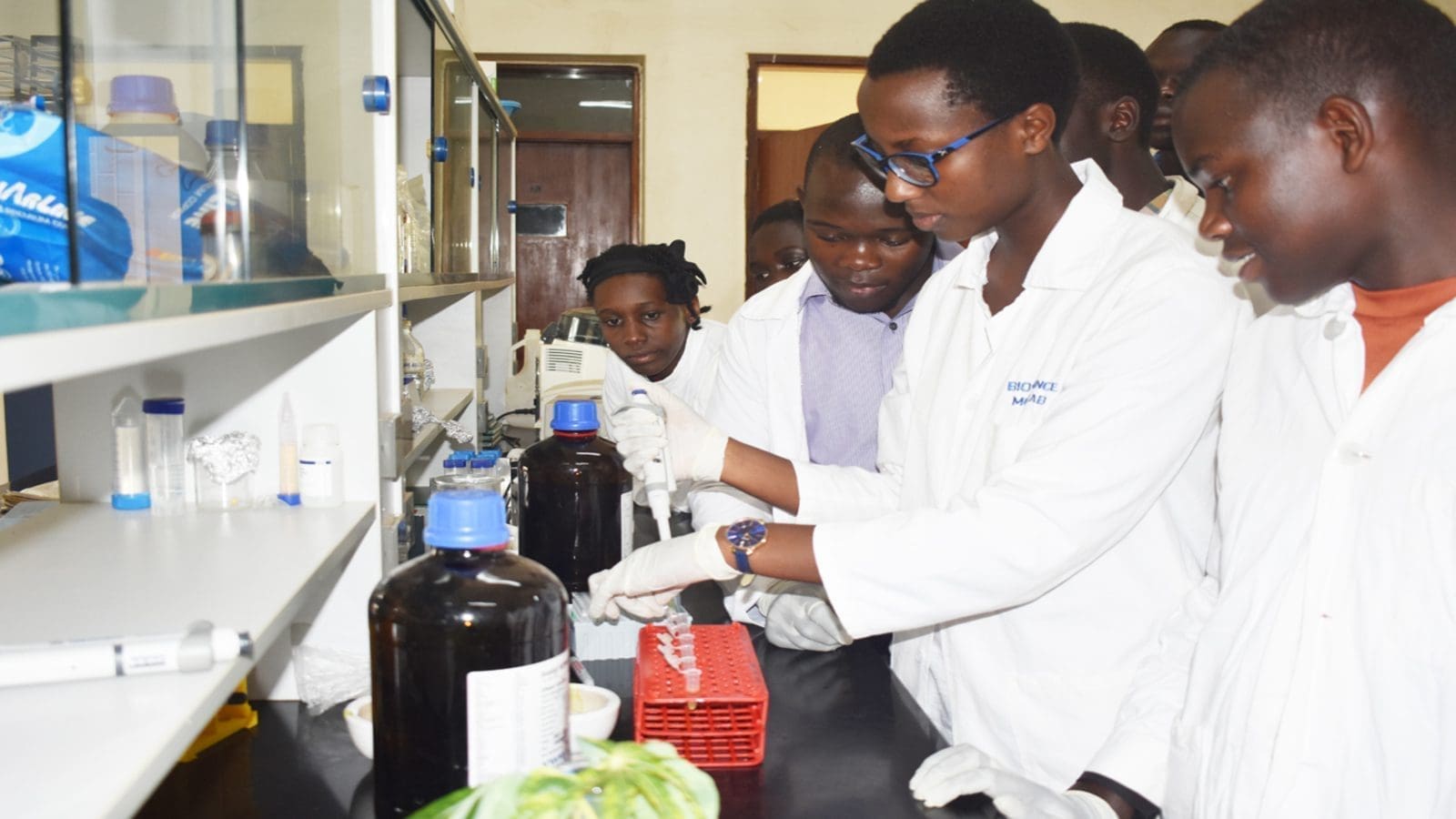 Uganda biotech students steer initiative to advocate for biotechnology