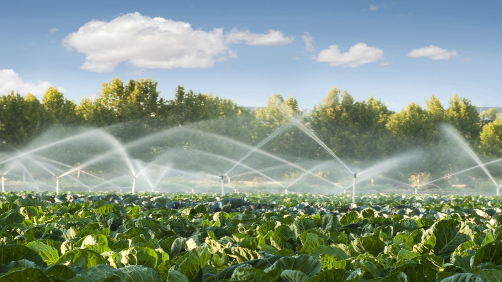 FDA proposes valuations of water used in farming to enhance produce safety
