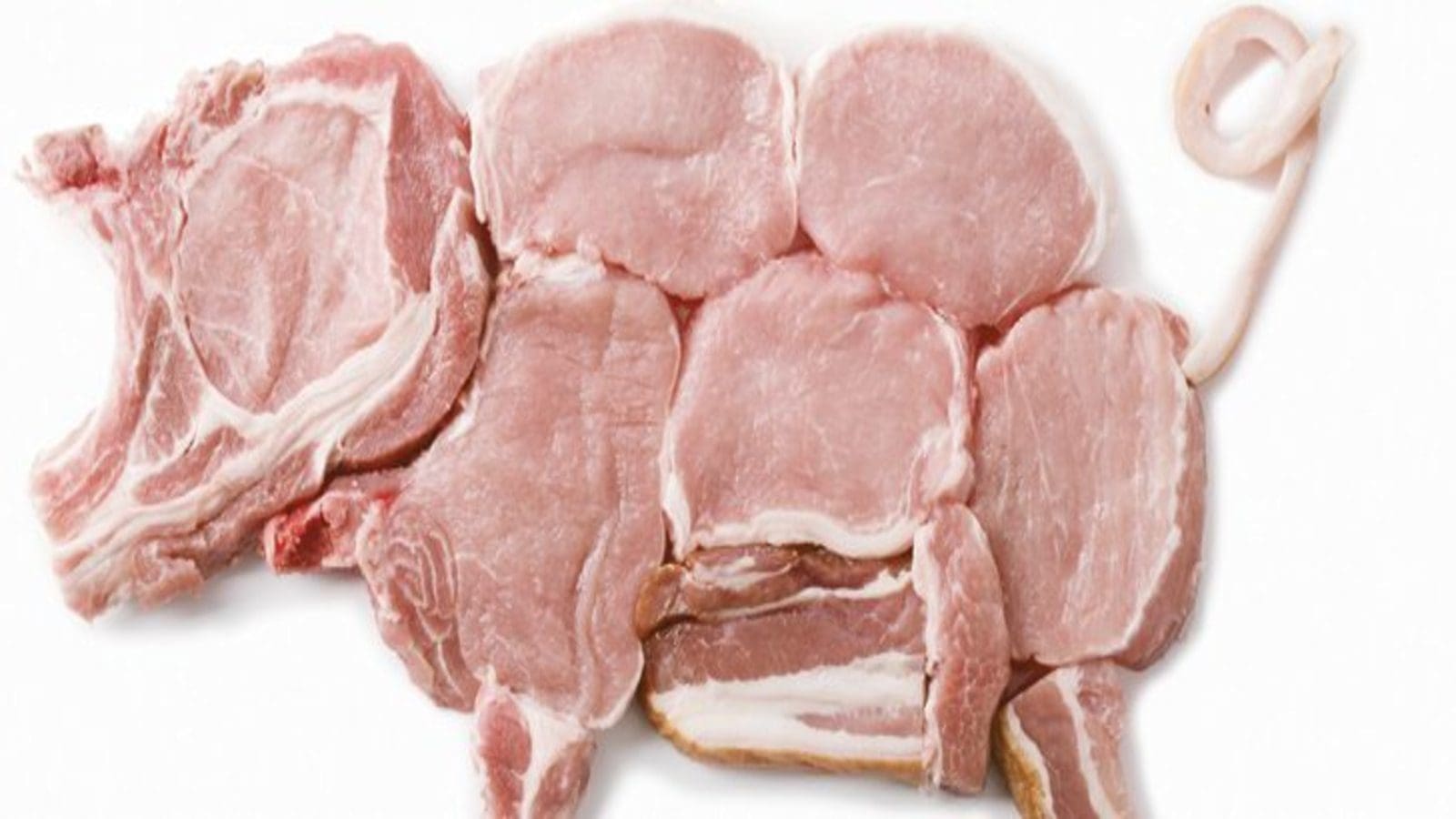 Canada’s pork industry receives boost to help fight African Swine fever