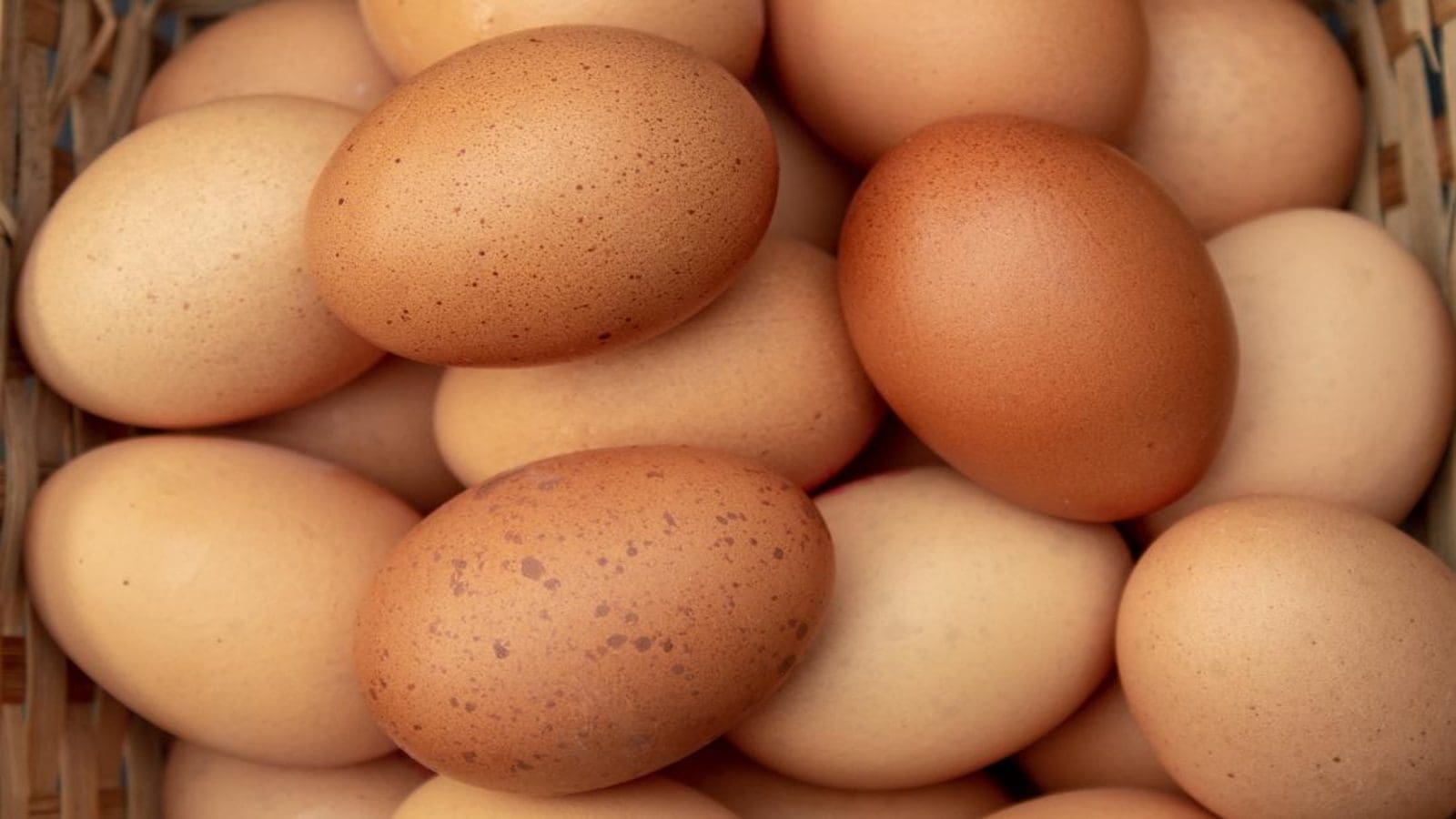 FDA announces Egg Regulatory Program Standards for regulatory organizations