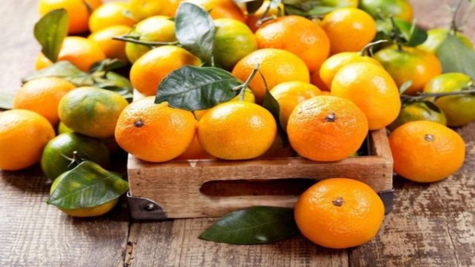 Zimbabwe to export fresh citrus fruits to China
