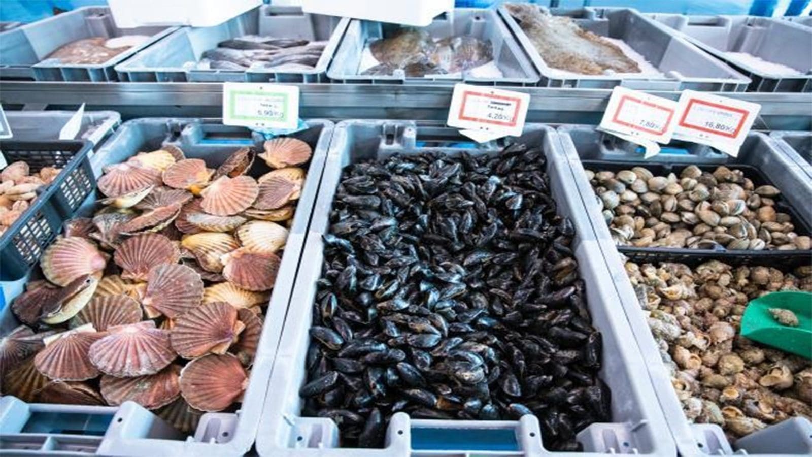 EU,US to resume bilateral trade in molluscan shellfish ending 10-year hiatus