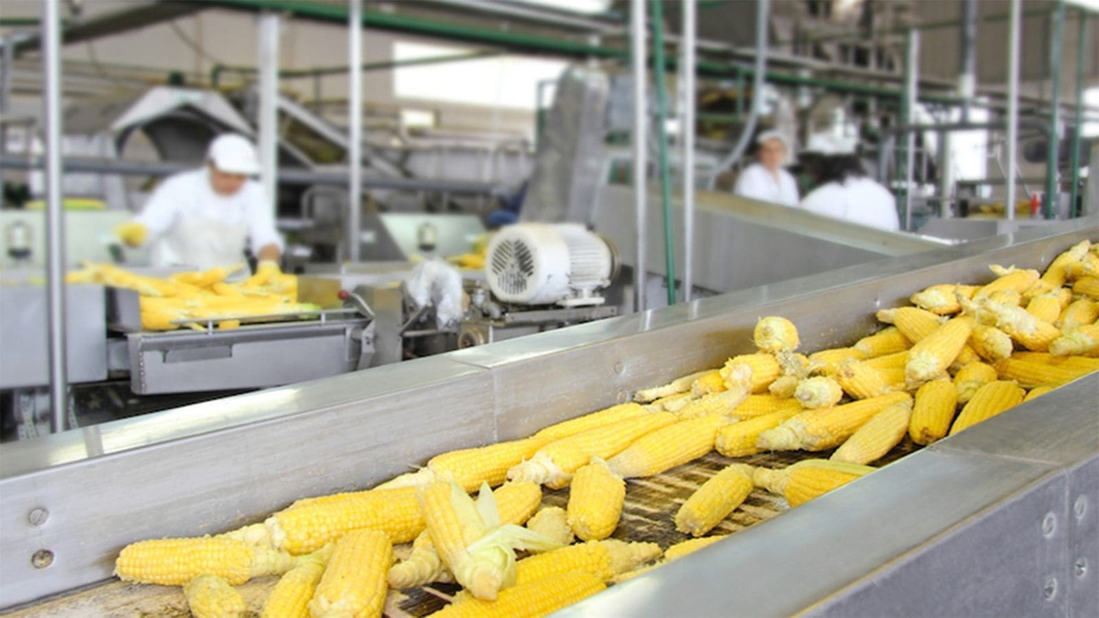 Nigeria’s food processing companies pledge to achieve food fortification goals