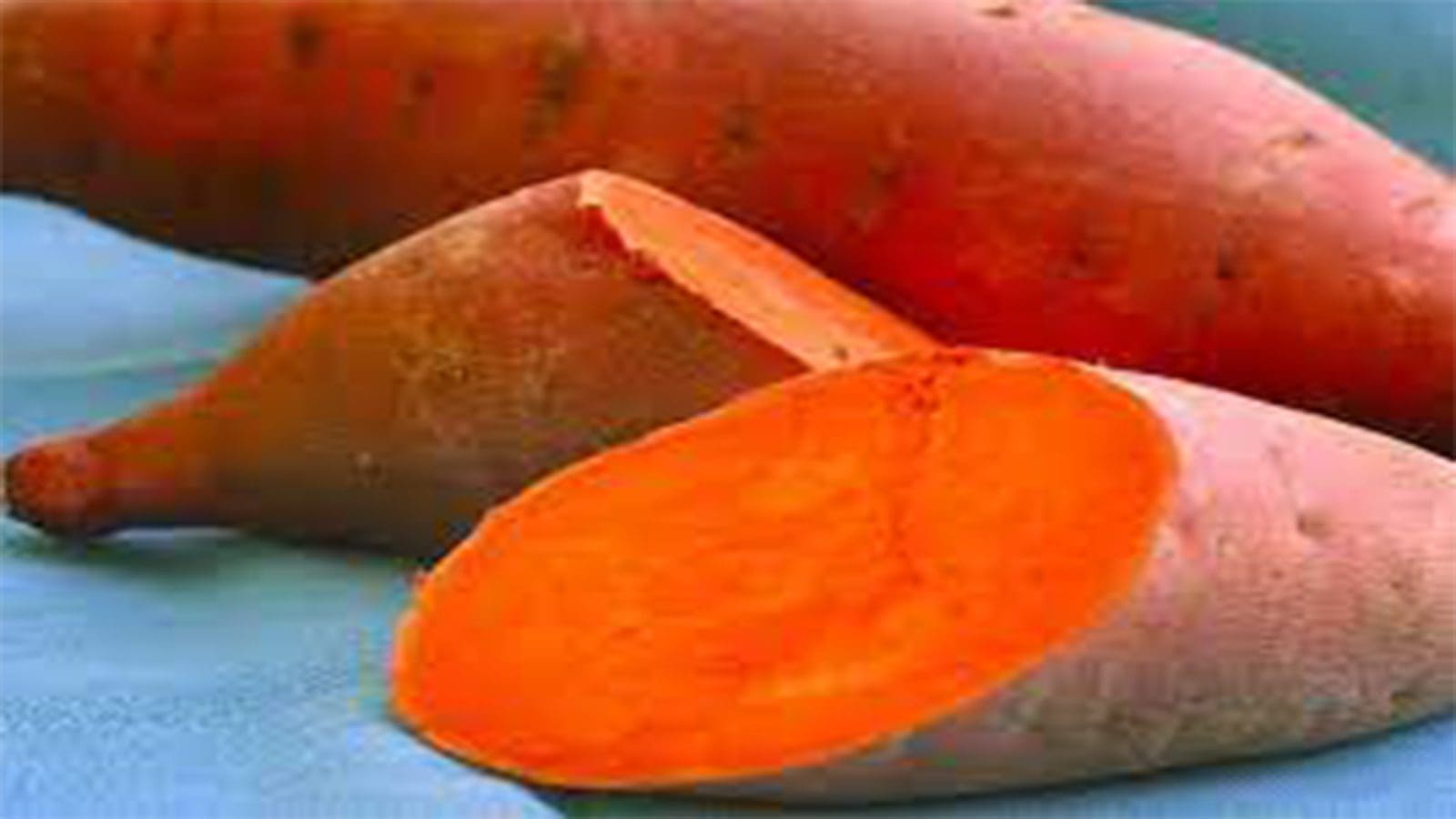 IFAD aids Eswatini in orange fleshed sweet potato evaluation to boost food security