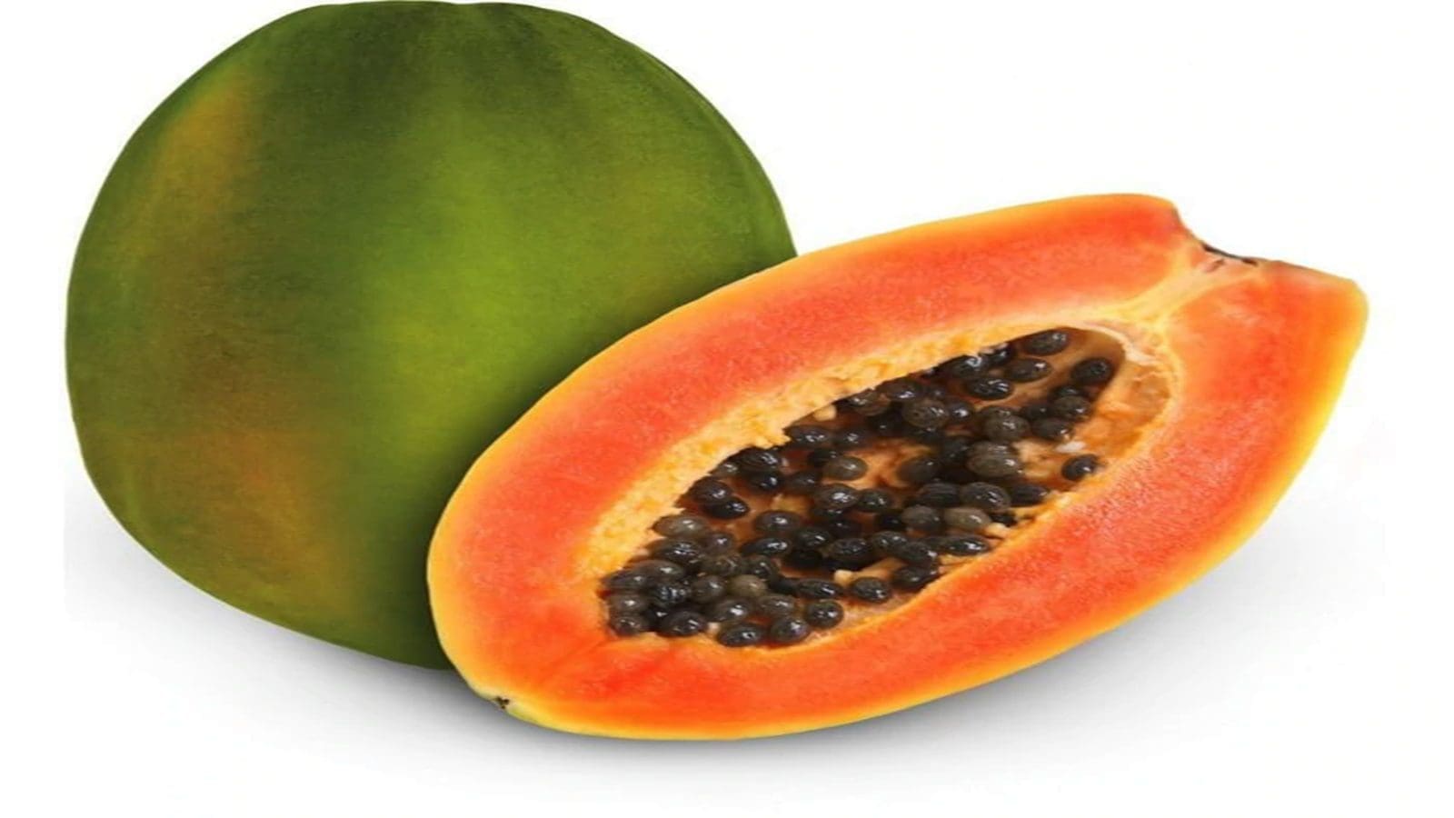 Kenya turns to biological control of papaya mealybug
