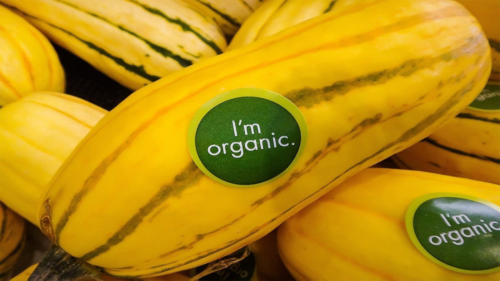 USDA amends National List of Allowed and Prohibited Substances for organic foods