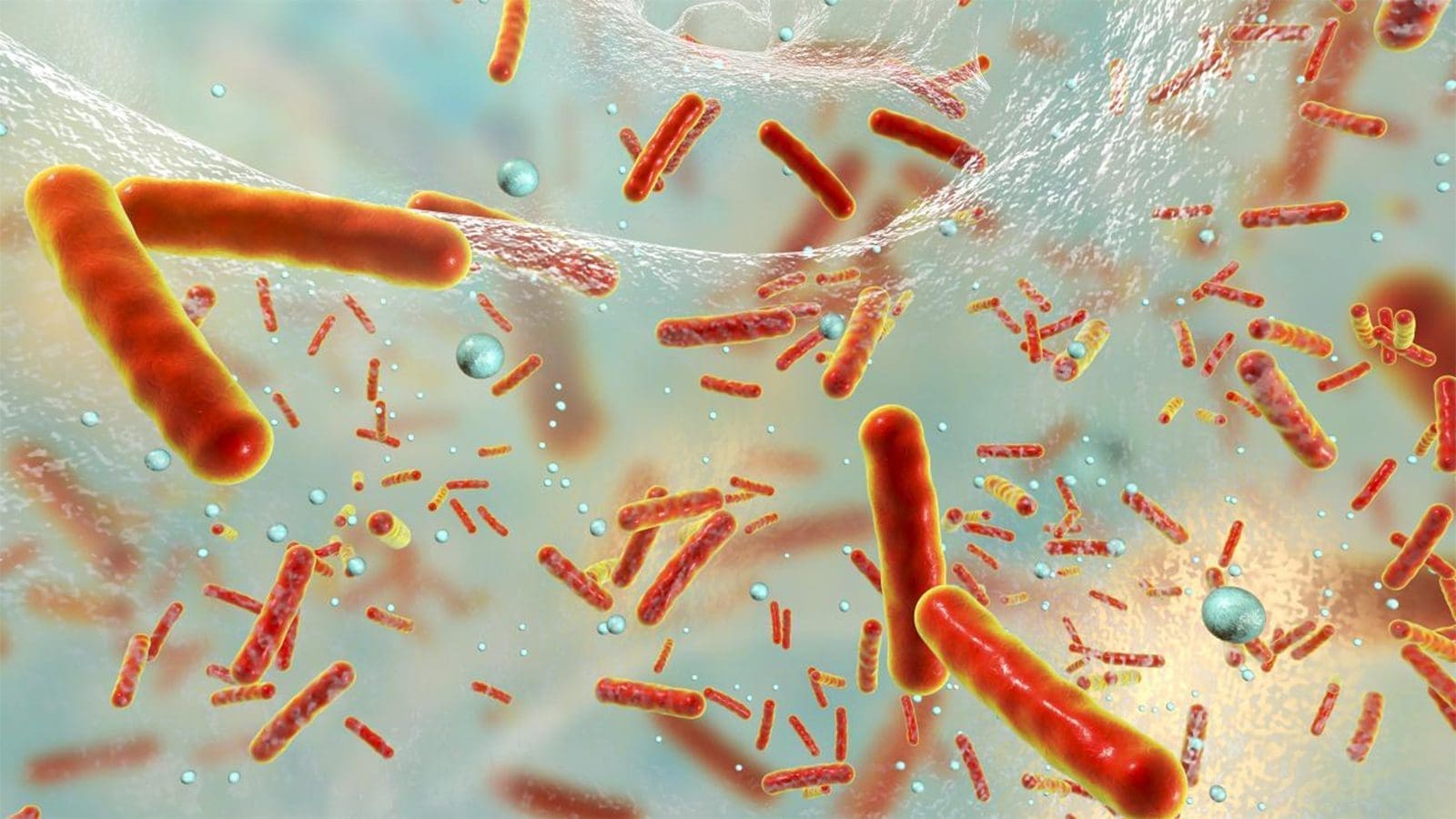 Study shows antibiotic resistance in Salmonella, Campylobacter still on rise