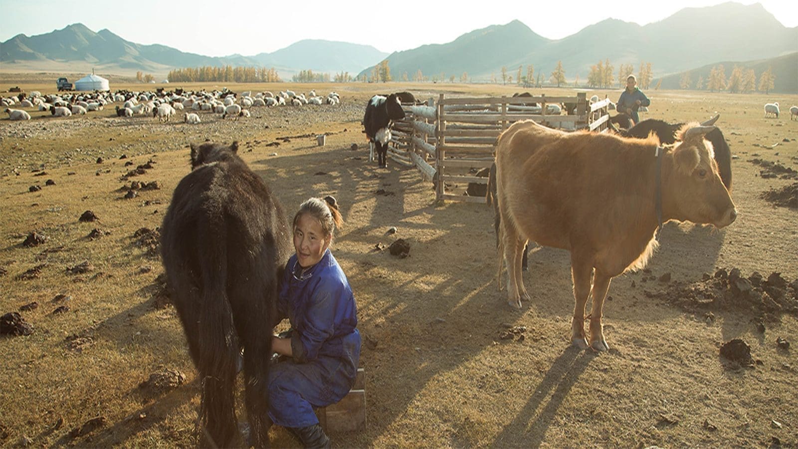Mongolia restructures National Codex Committee to strengthen food safety