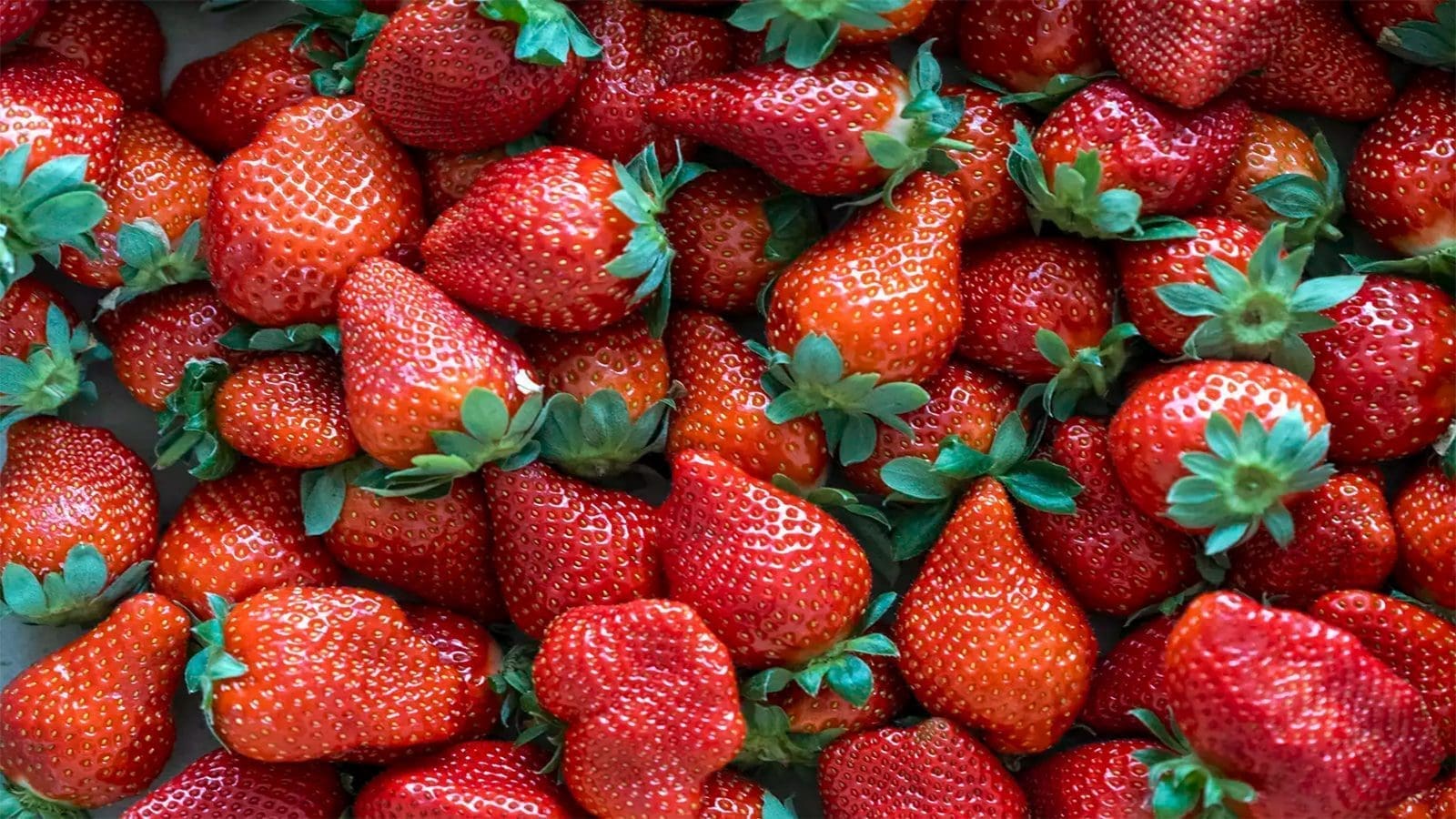 Fresh strawberries linked to Hepatitis A infections, Jif peanut butter recalled