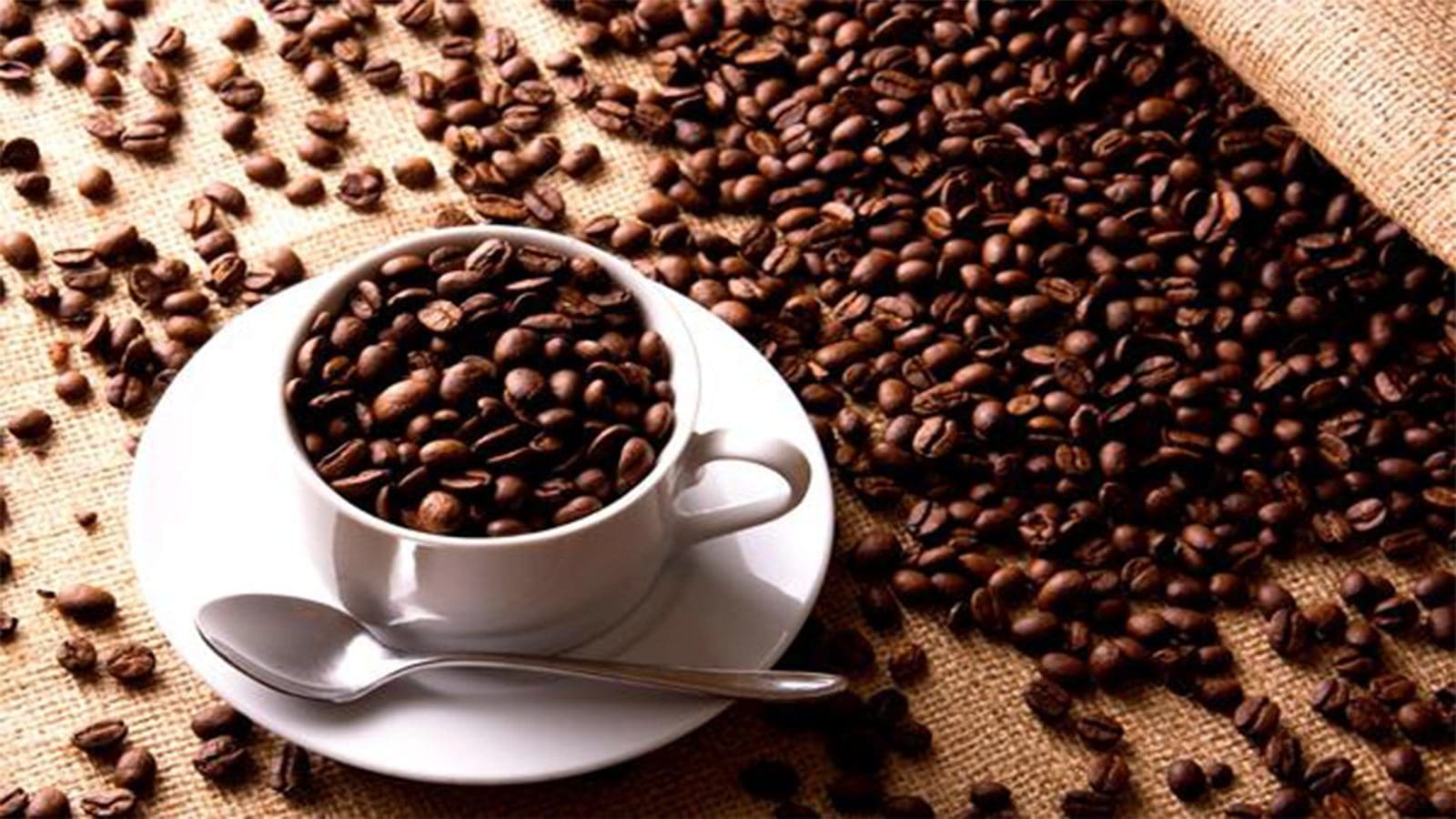 Tanzania Coffee Research Institute releases new high yielding coffee varieties