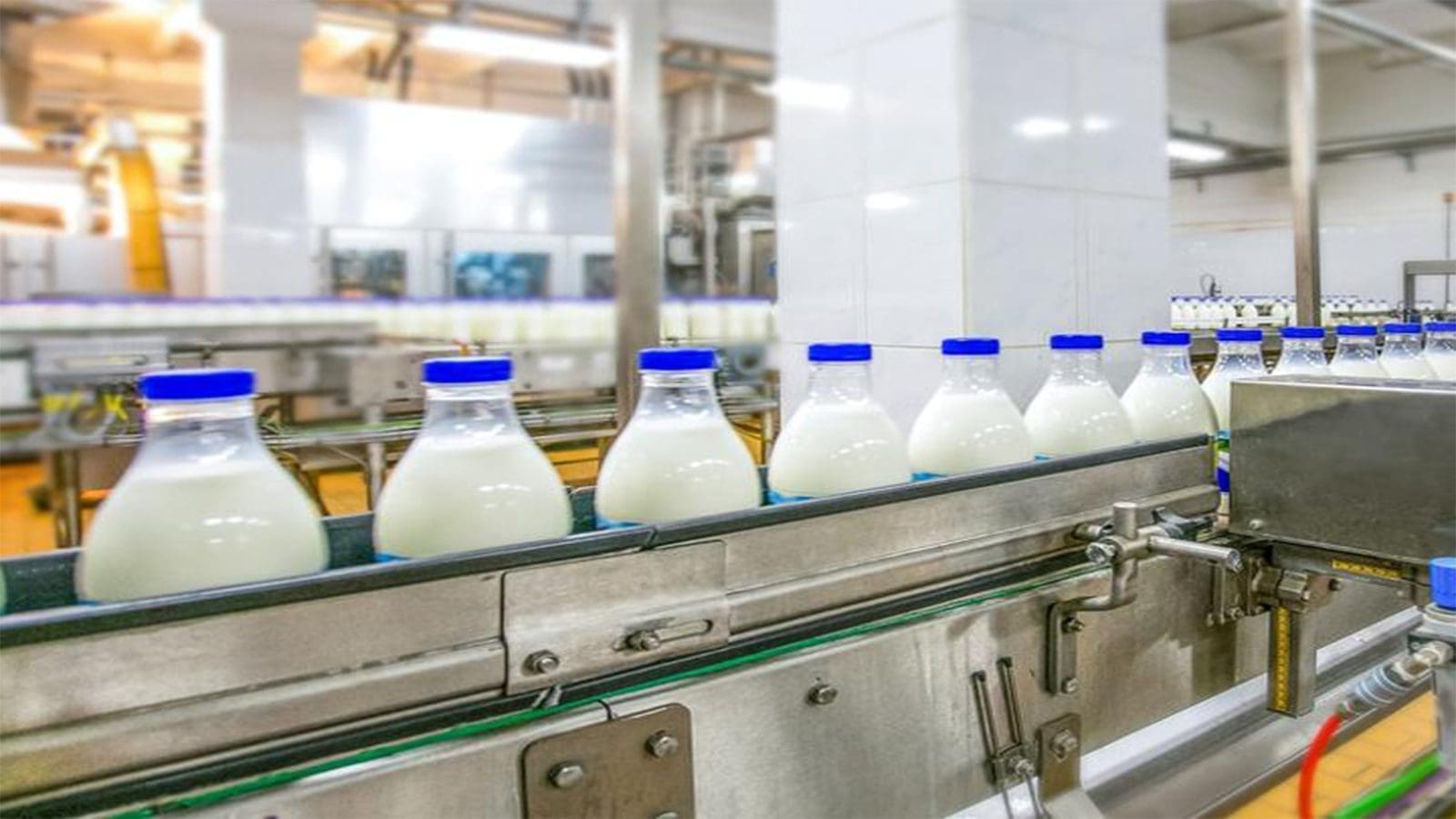 Tanzania Bureau of Standards urges milk producers to up quality of goods