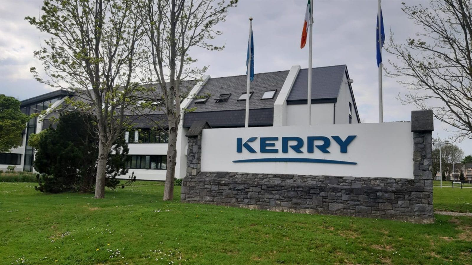 Irish multinational Kerry patrons Africa Food Safety Summit 2022