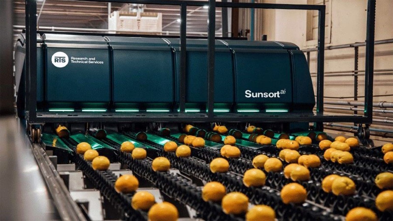 Sunkist Research and Technical Services launches AI powered sorter for citrus fruits