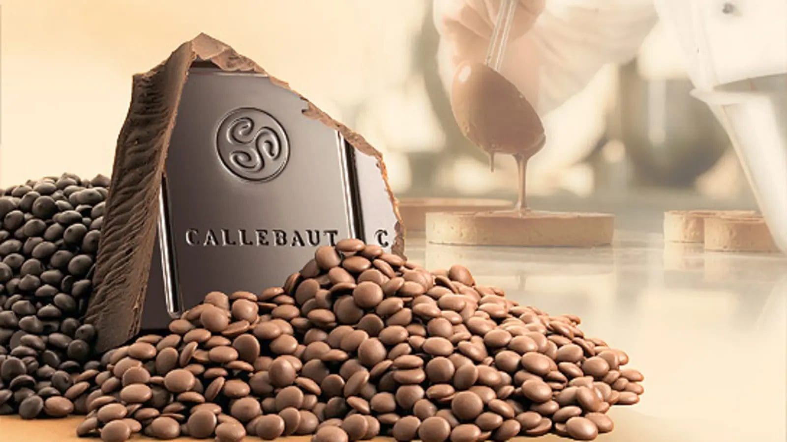 Barry Callebaut confirms Salmonella strain responsible for shut down