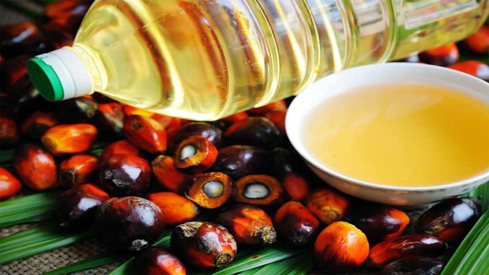 Ghana FDA launches traceability system to curb palm oil adulteration