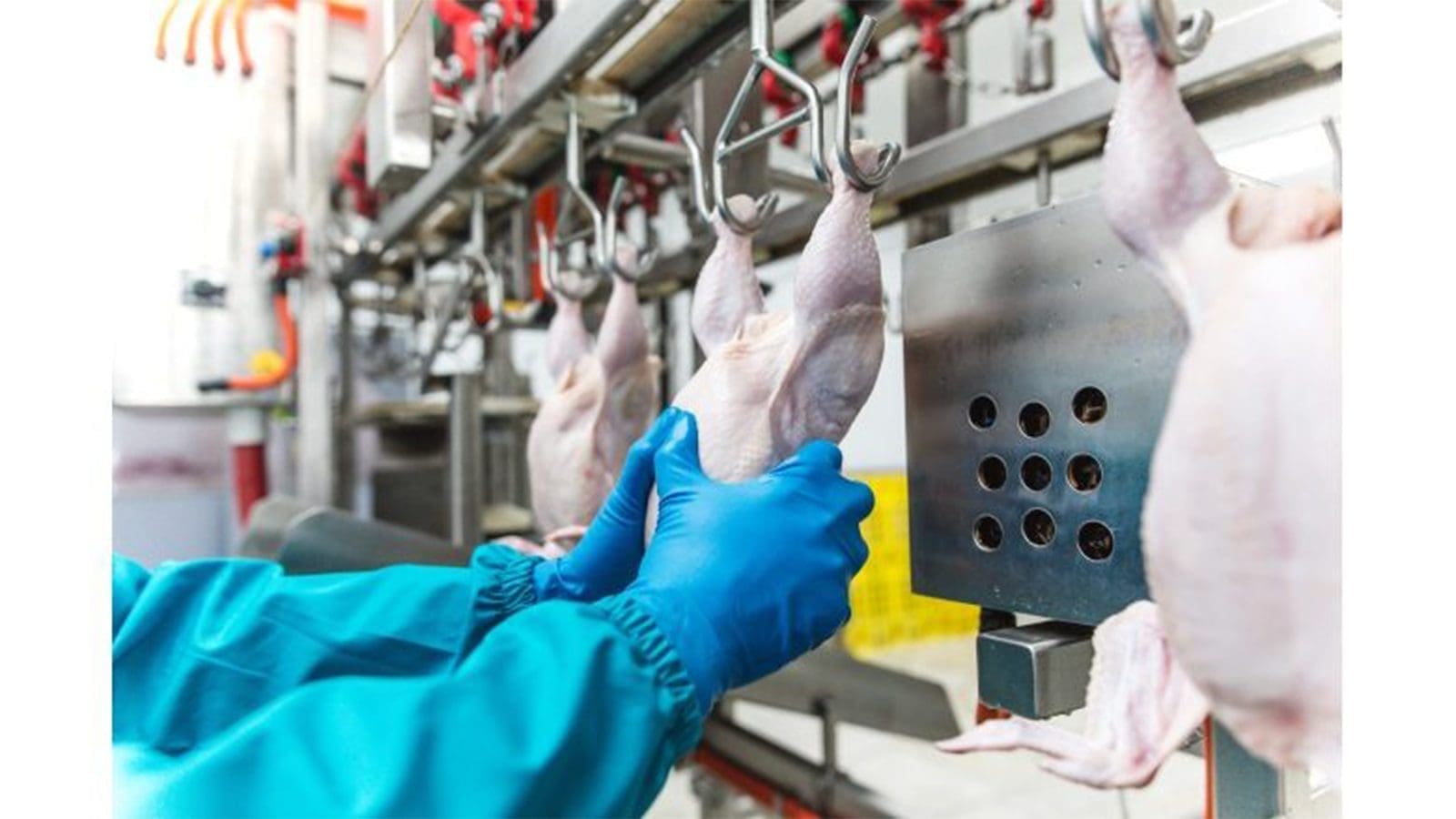 USDA integrates Salmonella quantification testing in regional laboratories