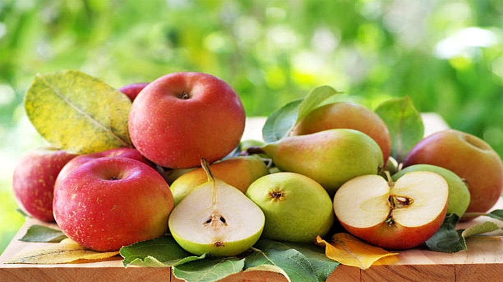 India green-lights in-transit cold treatment for South African apples, pears