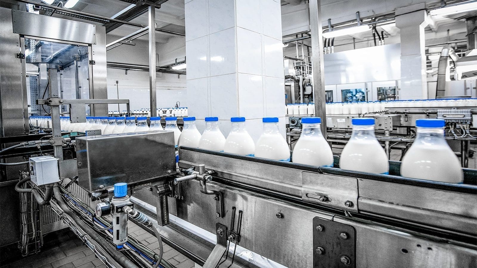 Researchers look to identify bacteria present in dairy processing environments