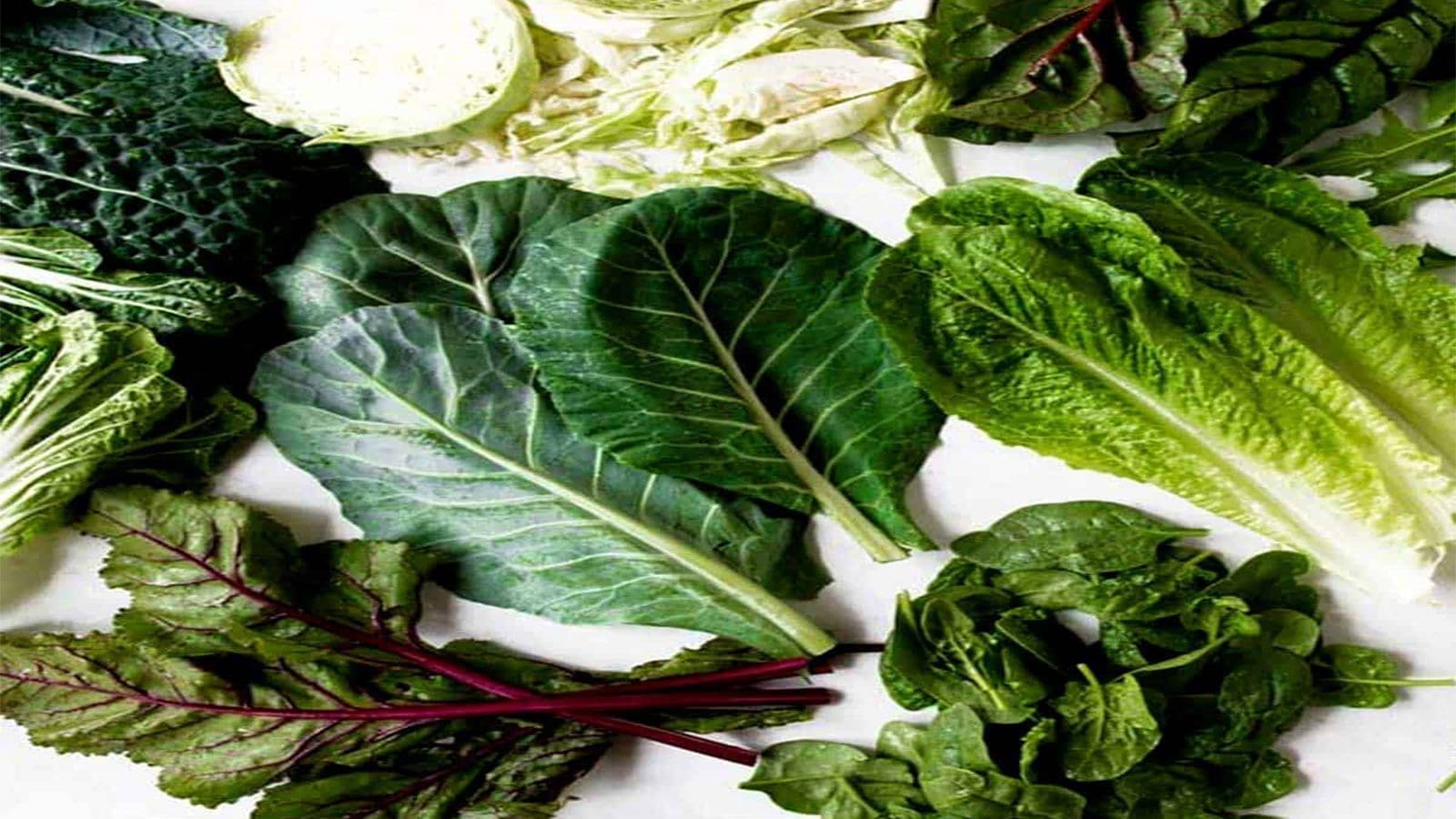 FDA continues to improve safety of leafy greens in U.S