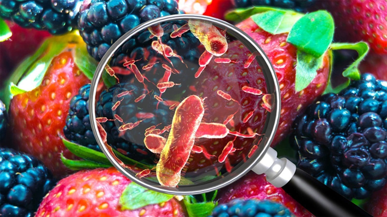 Researchers create model to calculate economic impact of foodborne illness