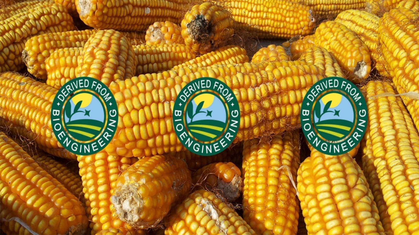 National Biosafety Authority pledges to oversee mandatory labeling of GMO products