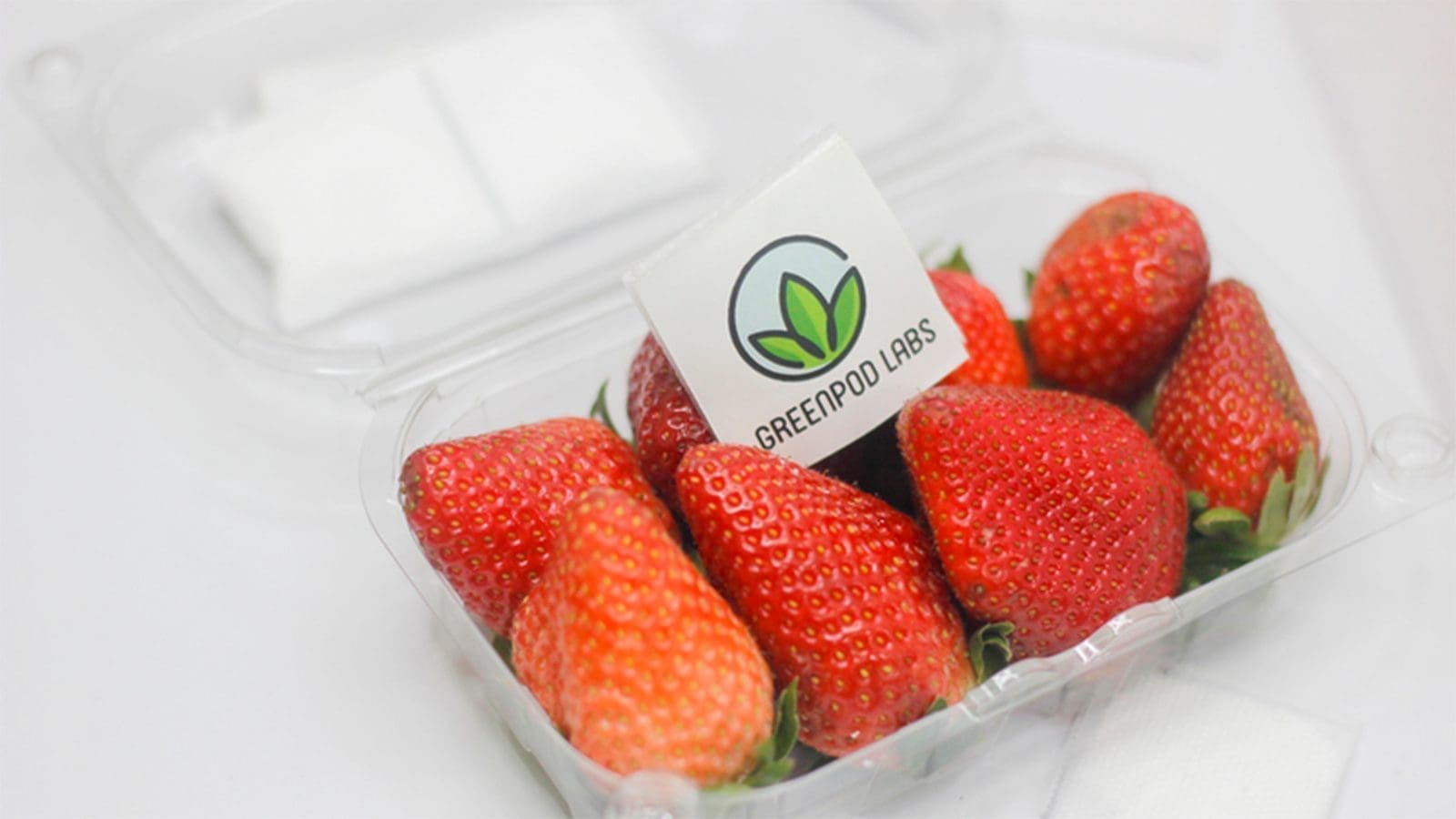 GreenPod Labs receives approval for its active packaging solution