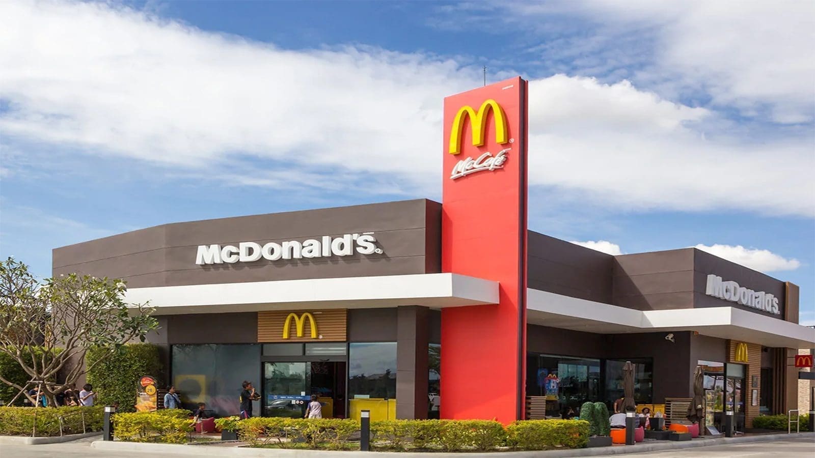 McDonald’s accused of purging its own norms, condoning antibiotic-raised cattle in processing products
