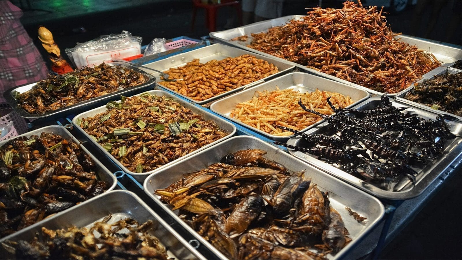 Study reveals potential hazards, fraud in edible insect supply chain