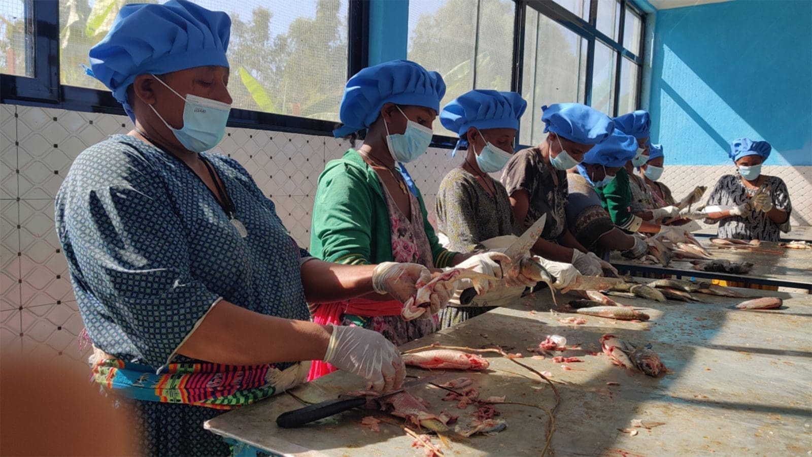 UNIDO establishes fish-processing facility in Ethiopia to boost value addition