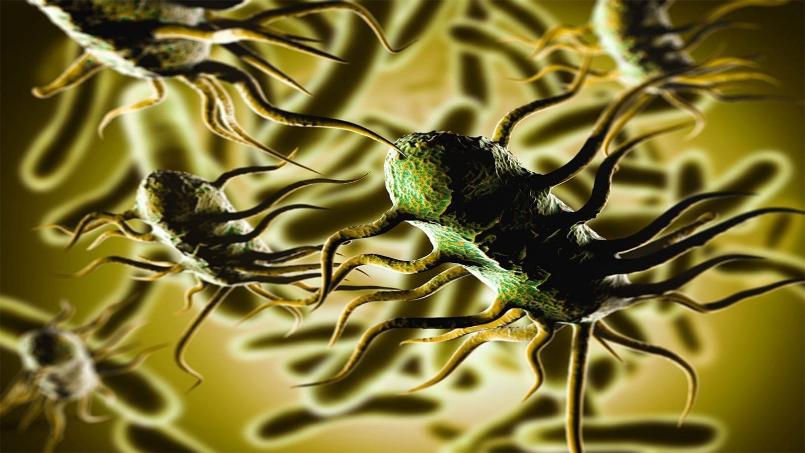 Deadly Listeria outbreak strikes Washington